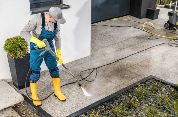 Best Roof Pressure Washing  in North Patchogue, NY
