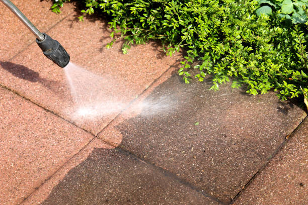 Best Fence Pressure Washing  in North Patchogue, NY
